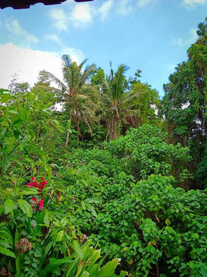 Karma House Ubud Exterior foto