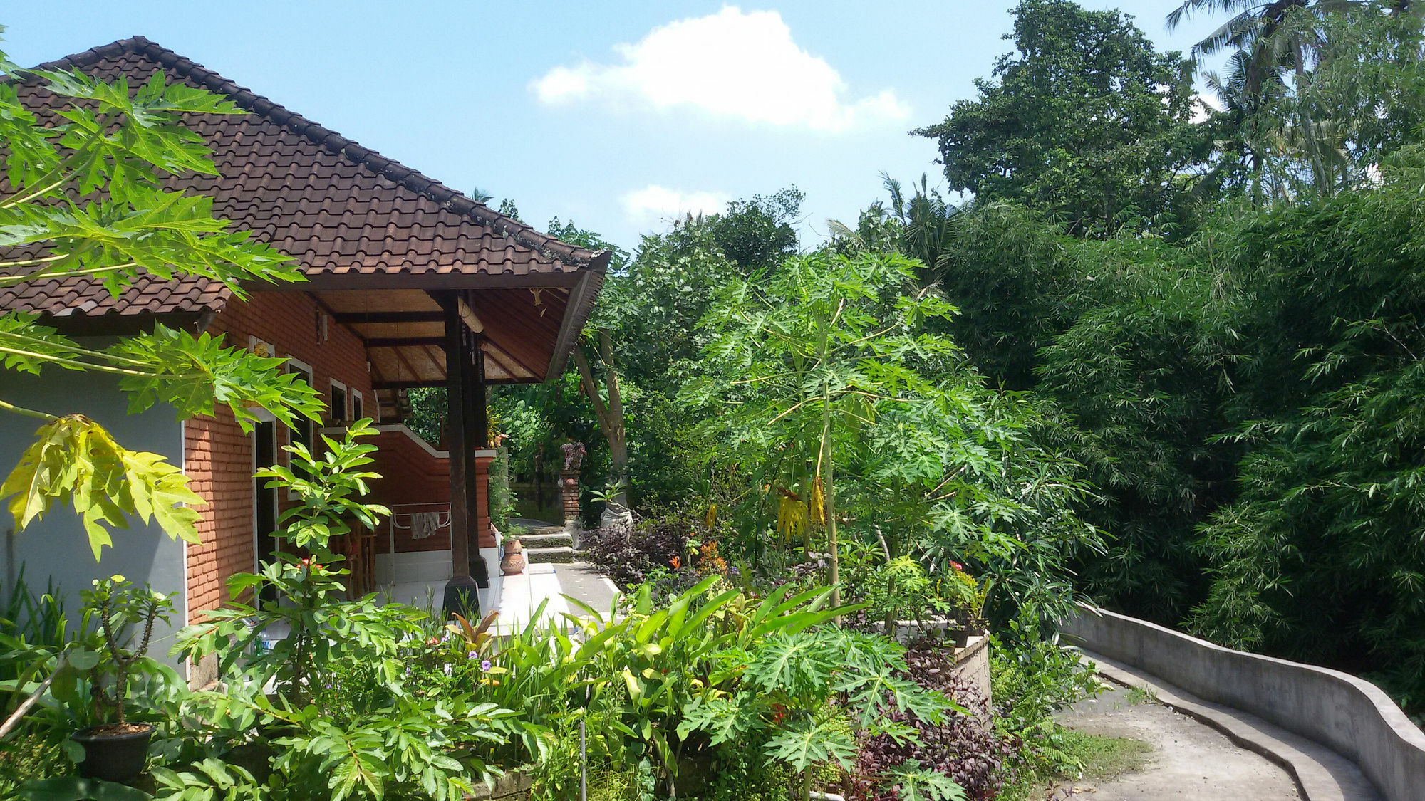Karma House Ubud Exterior foto